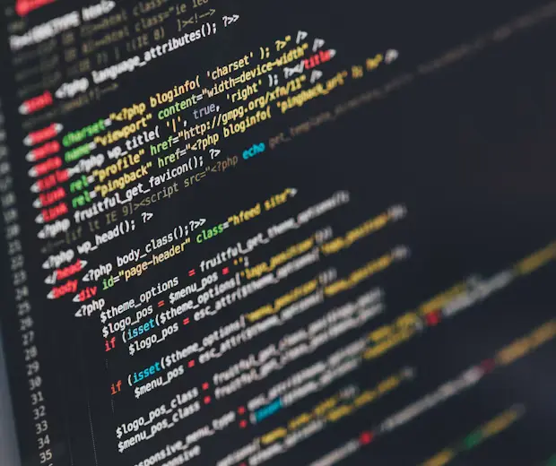 Custom Website Development